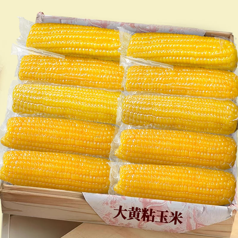 头茬【黄糯玉米】精选整箱10支