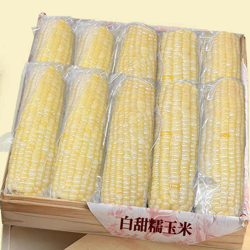 【白甜糯玉米】商超精品!美味