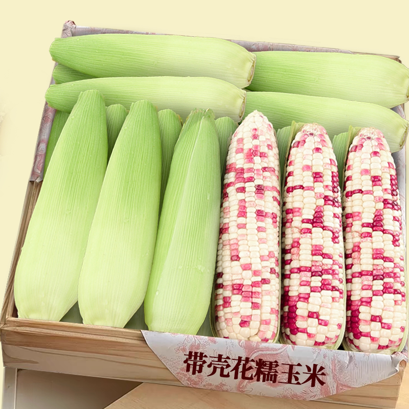 新鲜花糯玉米!老农力荐!直发