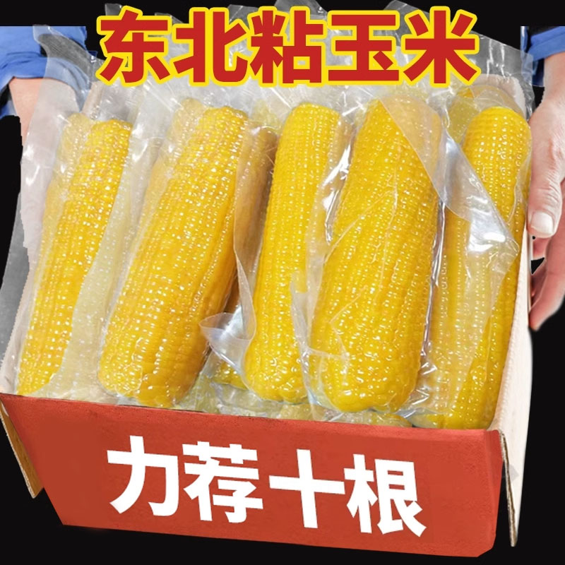 新鲜真空黄糯玉米粘甜糯健康粗粮