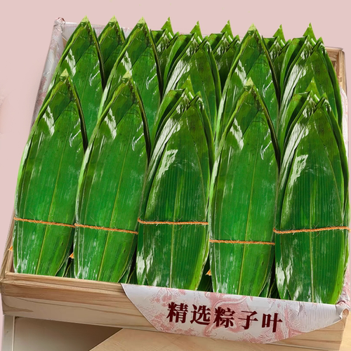 精选粽子叶！当季新货！韧性好