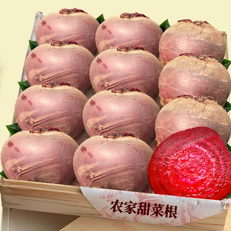 农家甜菜根|口感美味|新鲜现挖