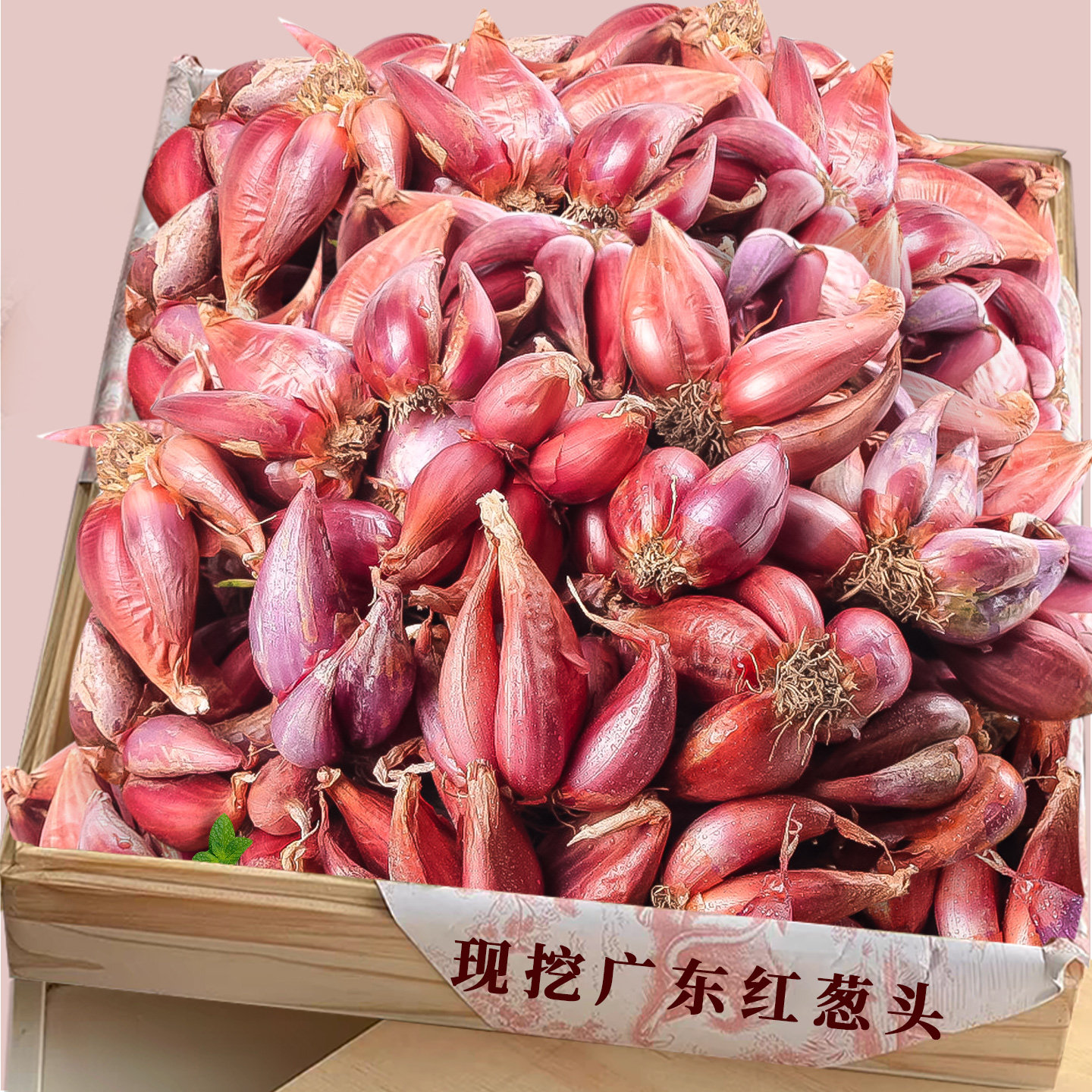 新鲜红葱头！老农力荐！天猫甄选