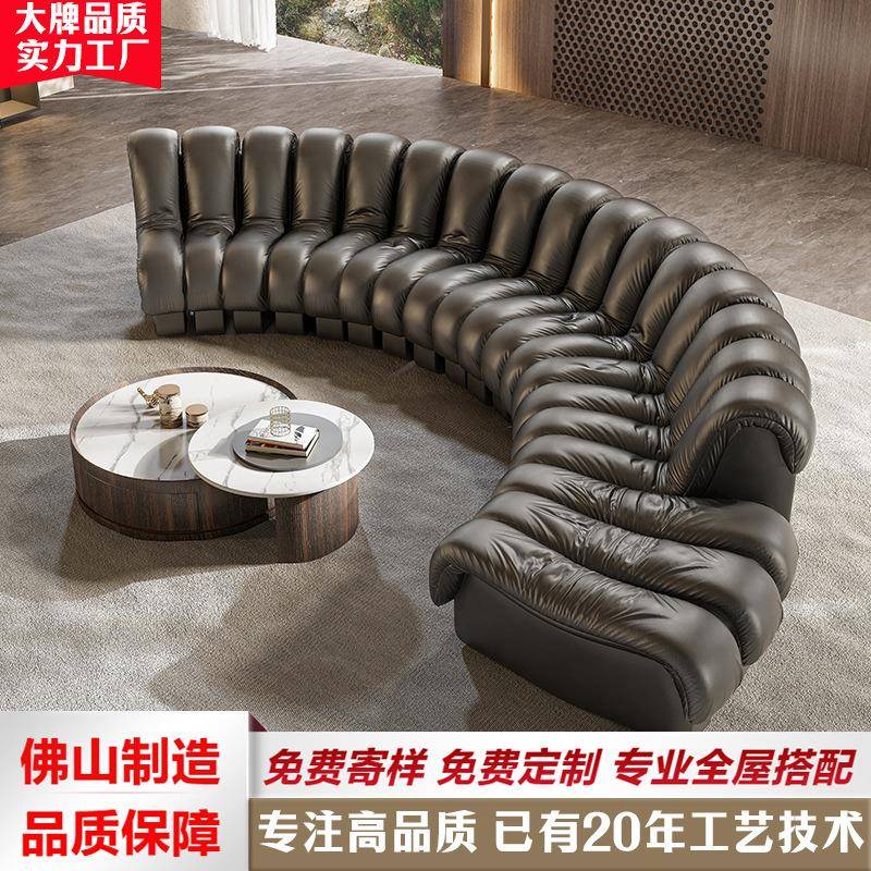 DeSedeDS600中古极简蛇形沙发大小户型S形弧形别墅羽绒真皮沙发