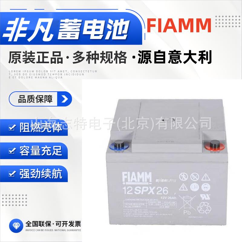 FIAMM非凡蓄电池2SLA200/GOPZV胶体免维护2V200AH太阳能蓄电池