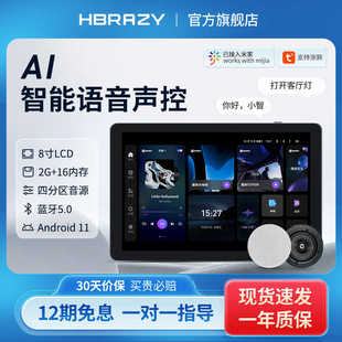 HBRAZY智能涂鸦吸顶音响背景音乐主机控制器家庭嵌入式 系统播放器