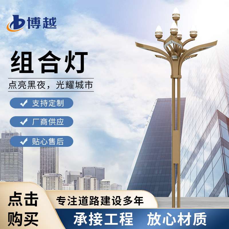 市政道路建设玉兰花灯 商业街到亮化景观灯供应组合杆