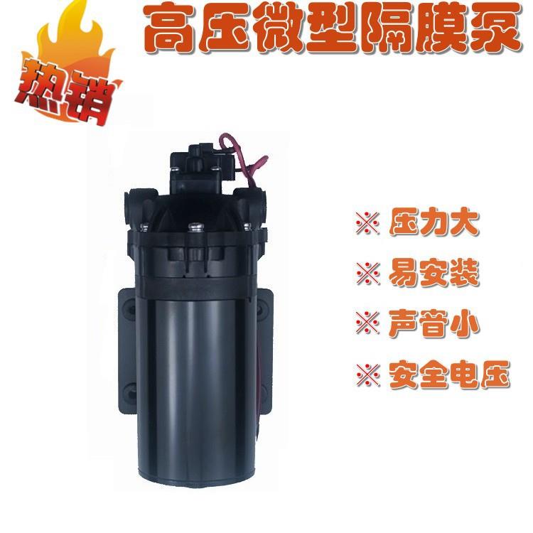 DP-100微型隔膜泵自吸水泵24V增压泵直流泵小型隔膜泵净水泵萨当