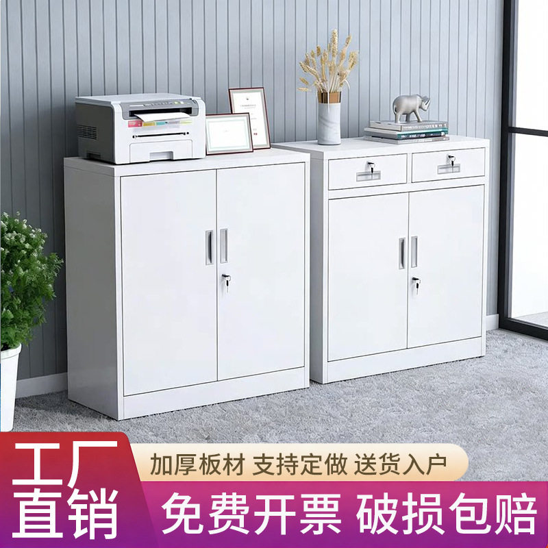 办公铁皮柜文件柜小矮柜家用收纳柜玻璃书柜资料档案柜储物桌下柜