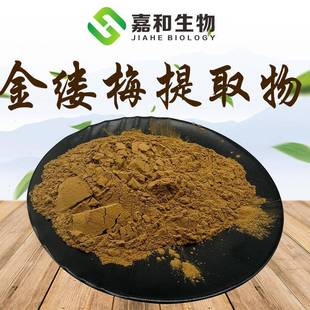 嘉和现货金缕梅提取物100:1金缕梅粉植物萃取原料全水溶现货