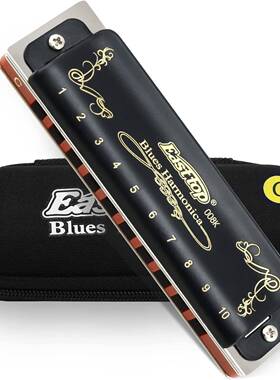 东方鼎easttopHarmonica蓝调布鲁斯十孔口琴10孔初学T008K