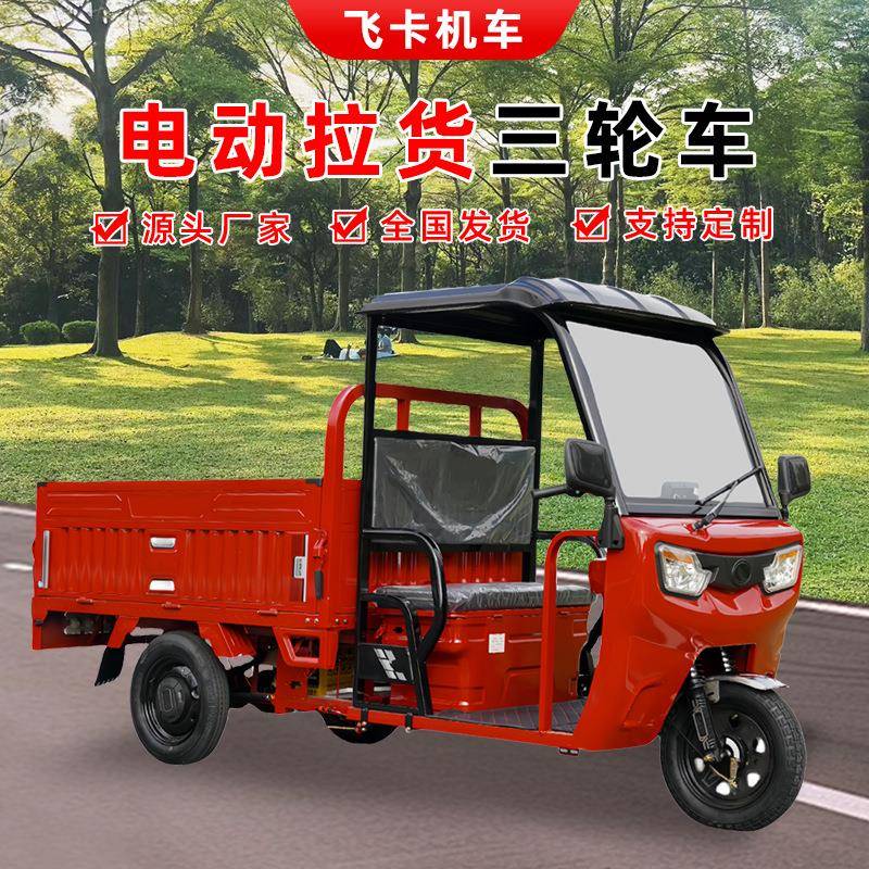 带棚电动三轮车家用拉货爬坡货车载重王豪华简易棚货运外贸出口型
