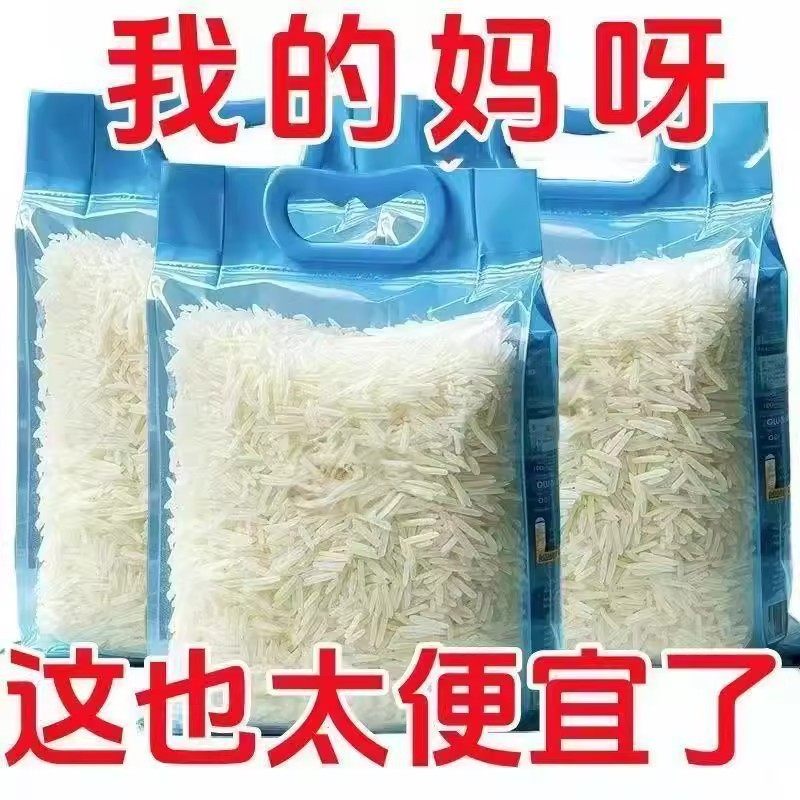5斤甄选长粒猫牙米2025年新米现磨现发饭香浓郁非真空包装煮饭
