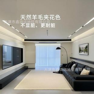 新西兰羊毛地毯客厅轻奢高级感家用素色沙发卧室房间床边地垫满铺