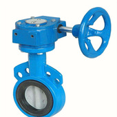 D371F46 型号 蝶阀 16C DN250铸钢衬氟涡轮传动对夹式