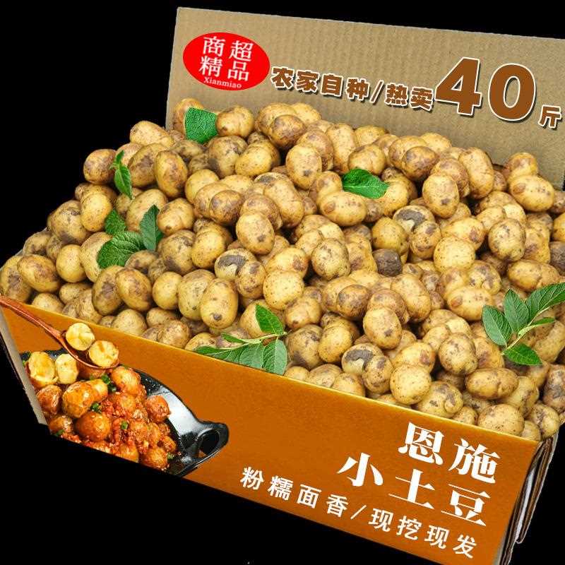 湖北恩施小土豆现挖新鲜黄心土豆当季蔬菜整箱迷你马铃薯洋芋