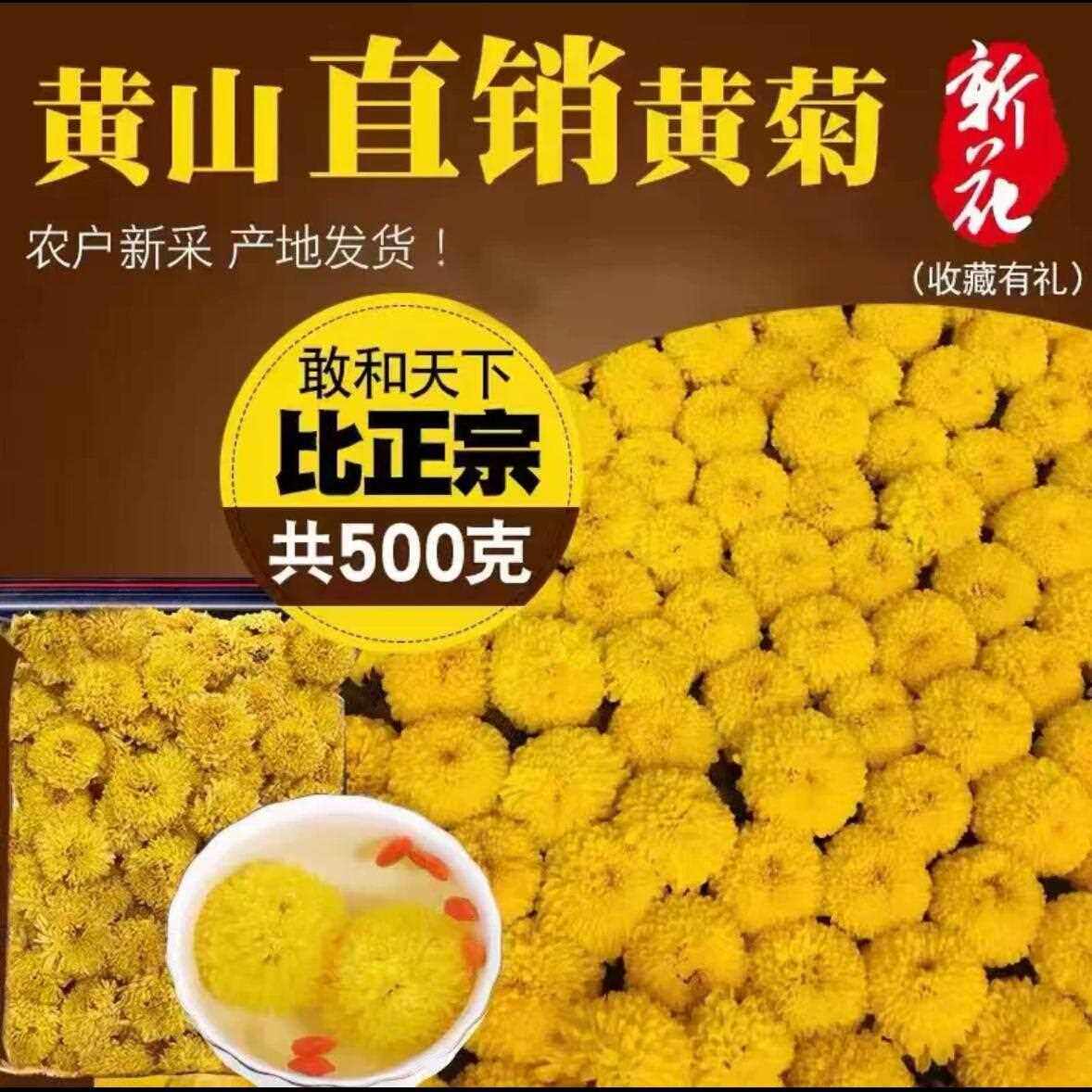 婺源皇菊大黄菊花茶徽州皇菊花非金丝皇菊胎菊杭白菊500克散装