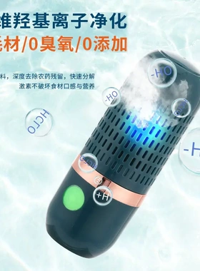 无线果蔬家电清洗净化器家用