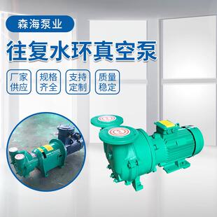 供应往复水环式真空泵2BV不锈钢S304引水泵气泵