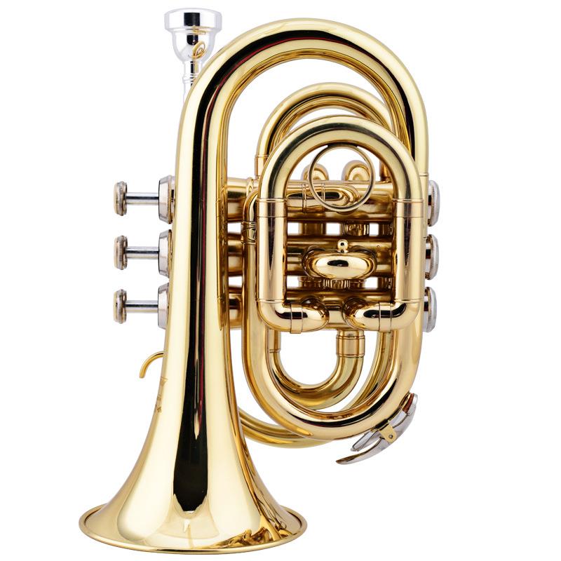 金音乐器JYHT-E100G手掌号零售