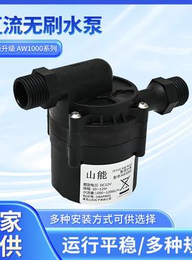 AW1000大流量高扬程太阳能无刷微型直流电动高压喷泉水泵