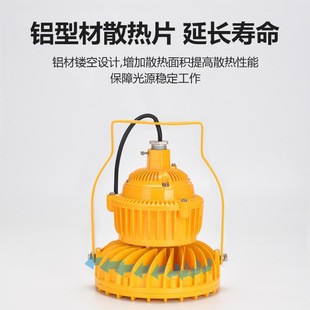 隔爆LED免维护防爆灯30W