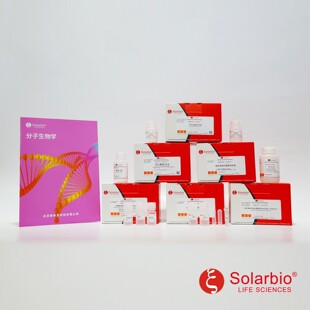 SuperRT PCR PCR反应 One 高温反转录酶 Step Kit T2240 Mix