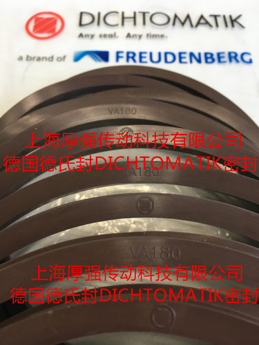 德国DICHTOMATIK德克迈特德氏封V型水封密封圈V-RING  VA-180 NBR