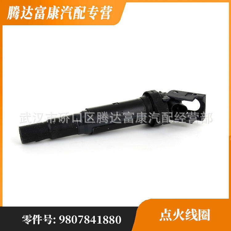 适用于DS雪铁龙标致点火线圈9807841880597064