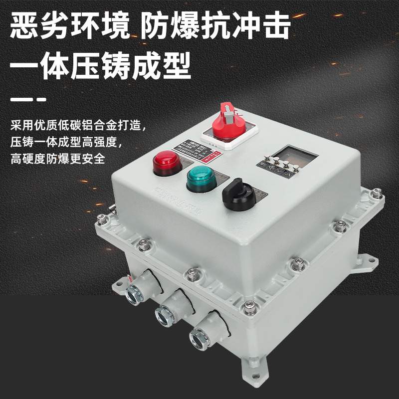 EX防爆自动控制箱温控智能数字显示仪表铝合金接线箱商用防爆箱