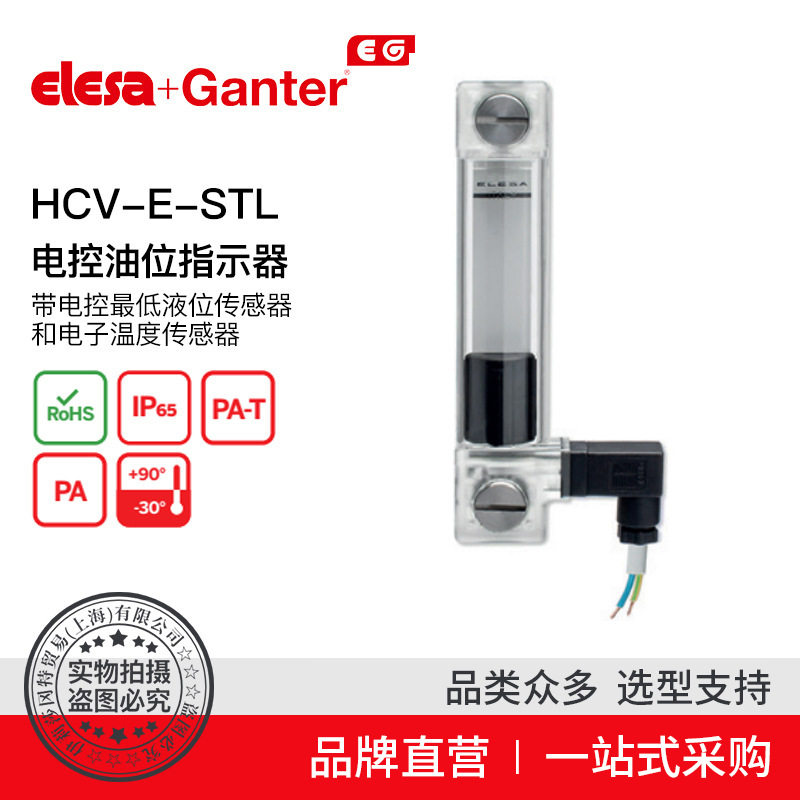 Elesa Ganter伊莉莎冈特 HCV-E-STL 电控油位指示器