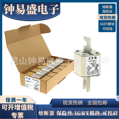 Bussmann巴斯曼 熔断器 170M3164 170M3165 170M3166  690V保险丝