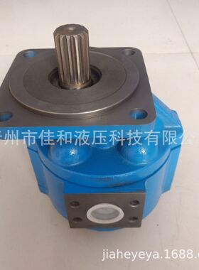 山东扒渣机配套低压泵CBG2063  多种规格 运行稳定