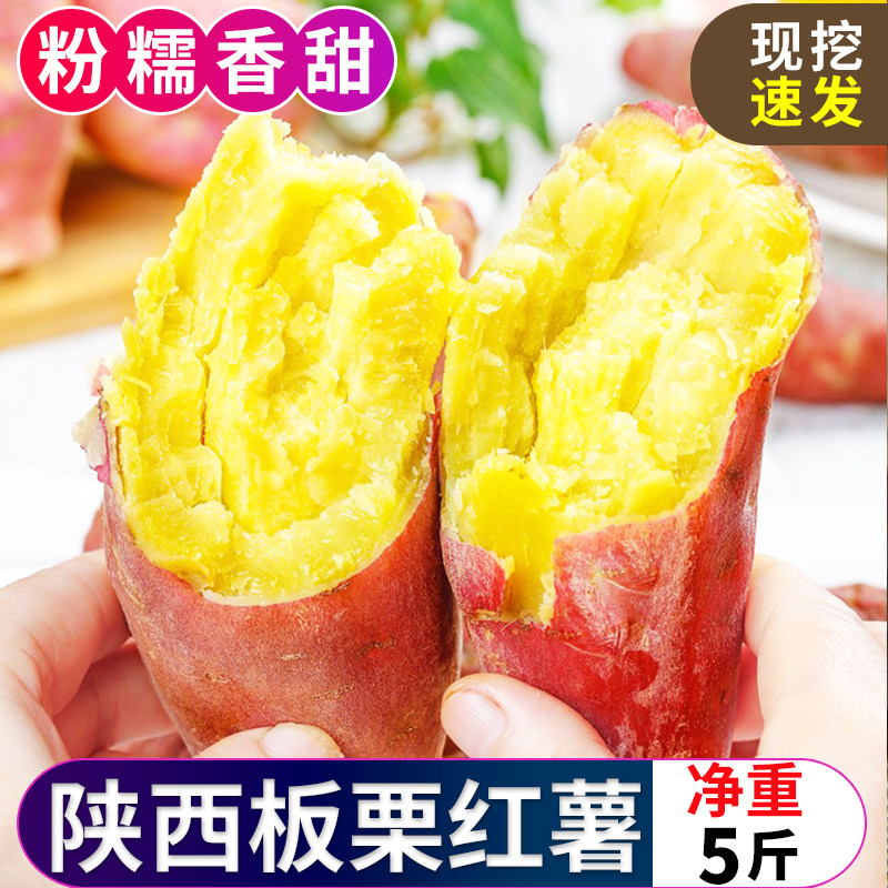 新鲜板栗红薯沙地蜜薯糖心地瓜香薯山芋农家自种现挖红皮黄心整箱