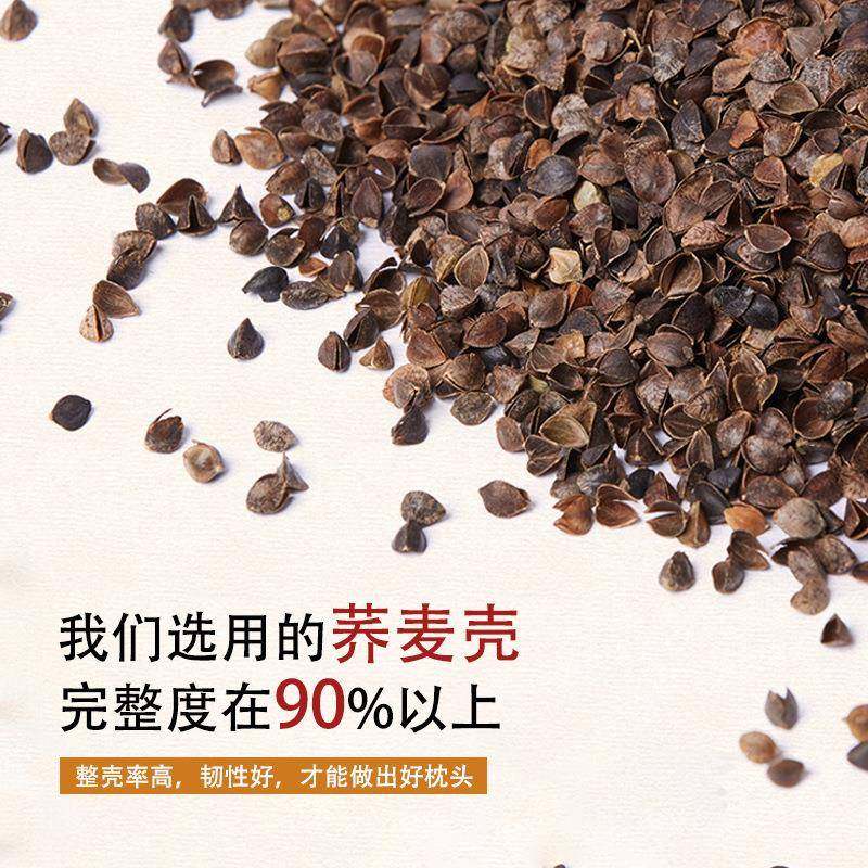 A6L夏季冰丝凉感荞麦皮枕头枕芯一对护颈椎助睡眠午休按摩整宿舍