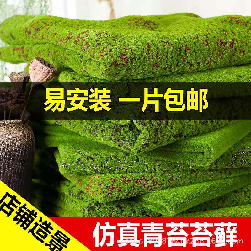 仿真苔藓绿色假青苔背景装饰植物墙草坪微景观草皮仿真花真