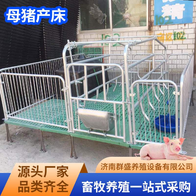 养殖场母猪产床双体复合加厚加宽猪用产床养殖用品母猪单体产床