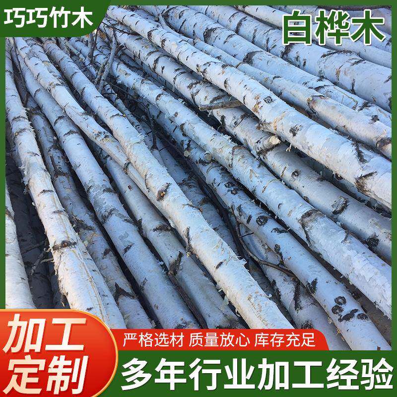 白桦树装饰树杆桦木原木干花枯树枝婚庆橱窗隔断造景白桦树杆