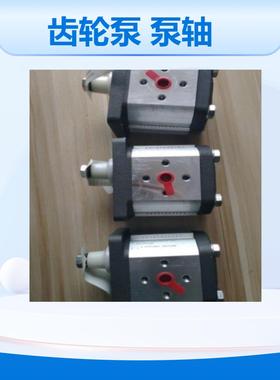 ATOS液压系统齿轮泵PFG-214-D-RO泵轴位置卧式