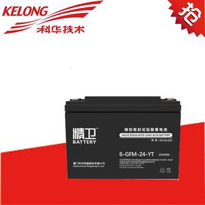科华精卫蓄电池6-GFM-24-YT精卫电池12v24ahEPSUPS后备储能电池