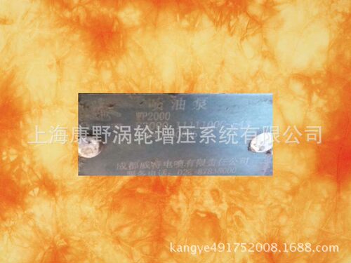 玉柴原装成都威特喷油泵总成 WP2000 E3000-1111100C-543