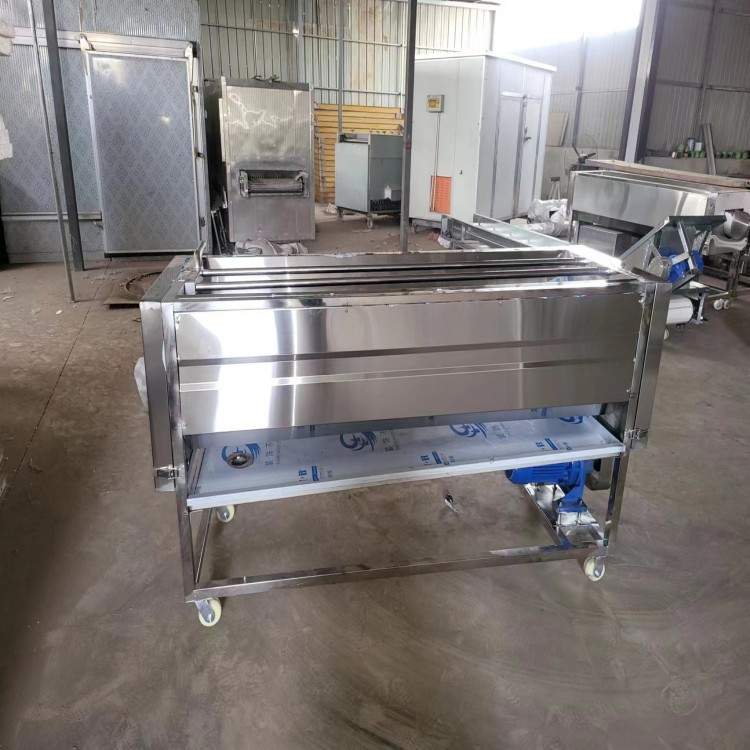果蔬毛刷辊清洗抛光增亮机适用于红枣圆形等根果类物料清洗