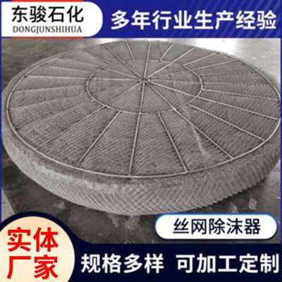 不锈钢丝网除沫器供应PP金属丝网除雾器分离装置丝网除沫器