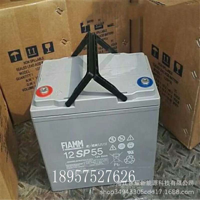 非凡蓄电池12V55AH铅酸FIAMM12SP55直流屏UPS电源EPS太阳能储能