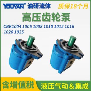 1010 1008 1012 1016 1025 A1FL高压B1FR齿轮泵CBK1004 1020 1006