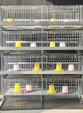 广旺丝网加粗加密弹簧门雏鸡笼立式四层幼鸡笼铁丝小鸡笼镀锌