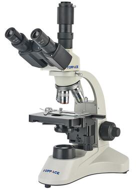 40-1600X三目生物显微镜WF10X和16X大视场广角目镜观察微生物