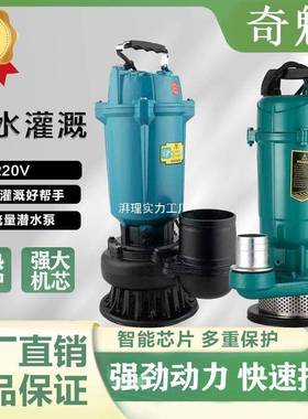 国标人民潜水泵220V380V清水泵农用灌溉泵家用大流量高扬程抽水泵