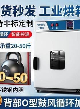 电热鼓风干燥箱恒温箱实验室双开门烘干箱高温烘箱小型工业用烤箱