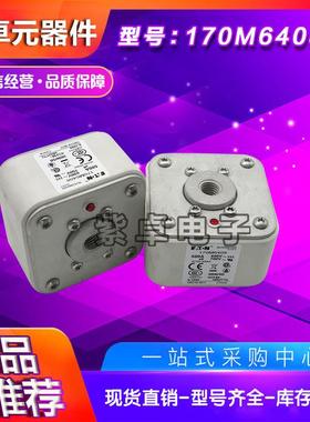 170M6301/6302/6303/6304/6305/6306/6307伊顿巴斯曼快速熔断器
